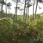 Villa Grande Maison Ideale Pour Familles Lège-Cap-Ferret