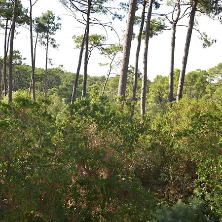 Villa Grande Maison Ideale Pour Familles Lège-Cap-Ferret