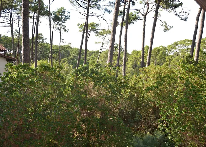 别墅 Grande Maison Ideale Pour Familles Lège-Cap-Ferret